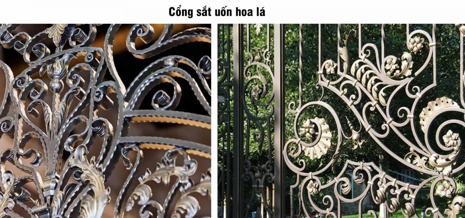 Cổng sắt uốn hoa lá cành cho nhà vườn 