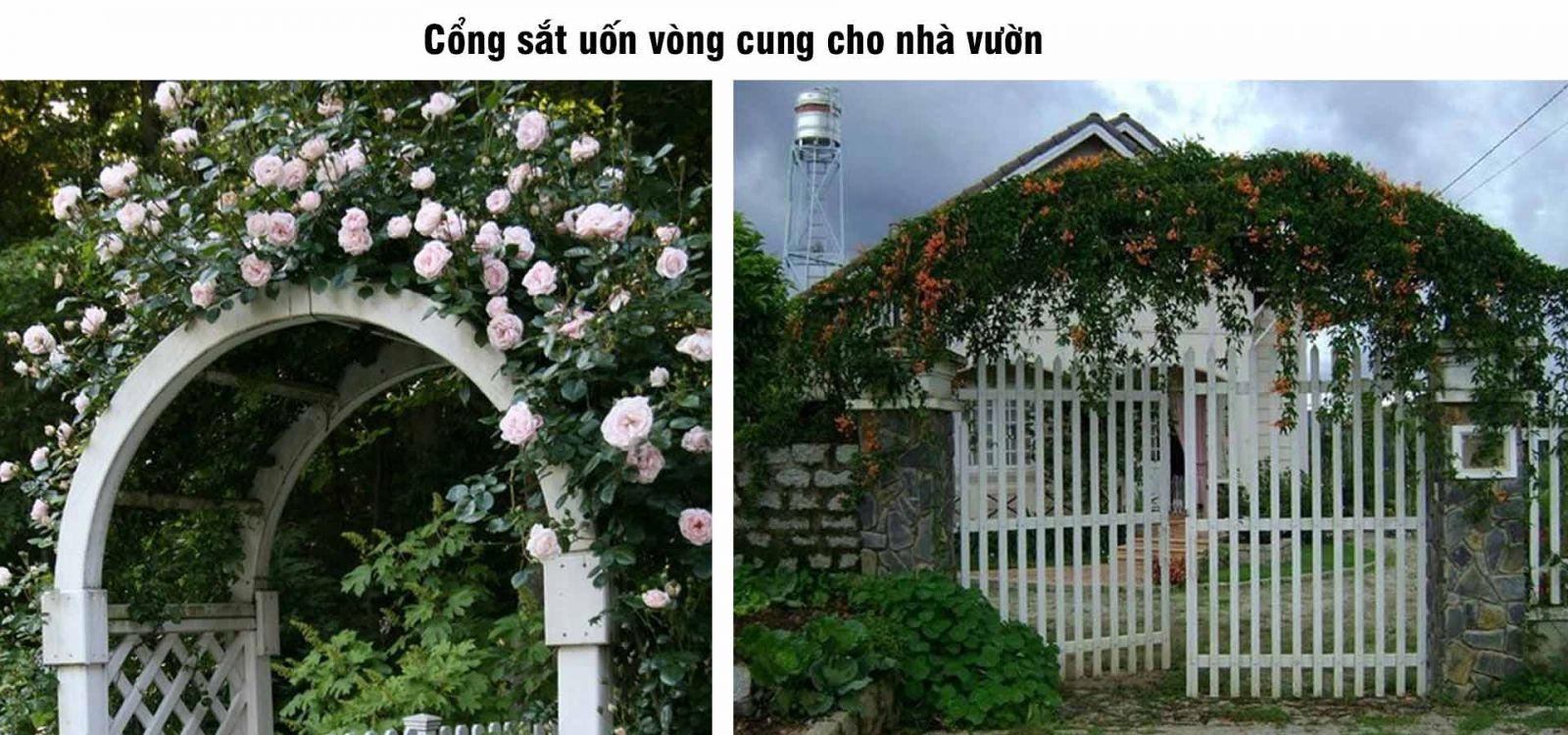 Cổng sắt uốn vòng cung đẹp cho nhà vườn mẫu mới nhất 2023